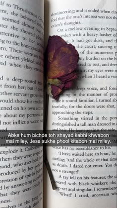 an open book with a flower on top of it and the words above it are in english