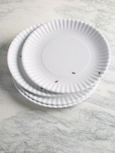 two white paper plates sitting on top of a marble counter