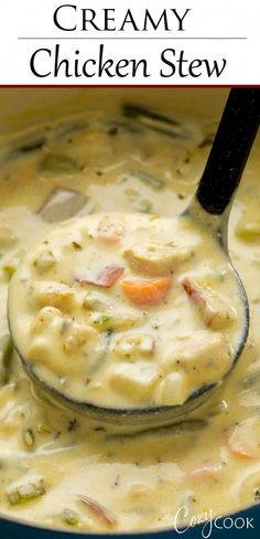 creamy chicken stew in a pot with a ladle