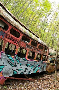 an old abandoned bus in the woods with graffiti on it's side and trees