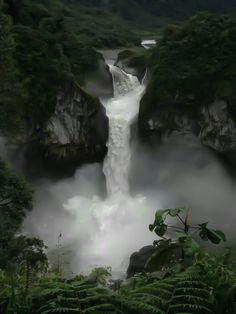 a large waterfall surrounded by lush green trees