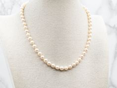 This vintage saltwater pearl strand necklace has a beautiful gold-fill clasp which securely holds this eye-catching piece together. Each pearl is carefully chosen to ensure only the highest quality necklace is crafted. This necklace is perfect for any occasion. Metal: Gold FillGem: Saltwater PearlsGem Measurements: 6.3 mm, RoundLength: 16 1/2 InchesMarks: "14/20" Stamped on the clasp Vintage Akoya Pearl Drop Necklace, Classic Cream Pearl Chain Necklace, Classic Cream Pearl Necklace With Pearl Charm, Classic Cream Pearl Necklace, Classic Cream Necklaces With Round Beads, Cream Single Strand Pearl Necklace, Formal Single Strand Cream Pearl Necklace, Formal Cream Single Strand Pearl Necklace, Saltwater Pearl Necklace