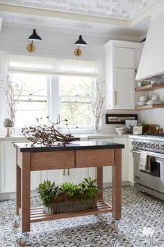 a kitchen with an island in the middle of it and potted plants on top