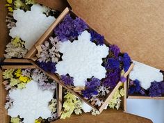 three boxes filled with different colored flowers on top of a cardboard box next to each other