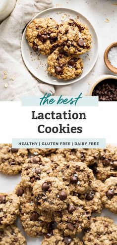 Lactation Oatmeal, Dairy Free Lactation Cookies, Breastfeeding Cookies, Healthy Lactation Cookies, Lactation Cookies Recipe, Breastfeeding Snacks, Breast Milk Supply, Dairy Free Cookies, Breastfeeding Foods