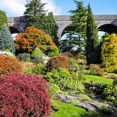 the garden is full of colorful plants and trees with an old bridge in the background