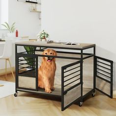 a brown dog sitting on top of a wooden table