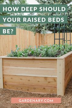 a garden bed with plants growing in it and the words how deep should your raised beds be?