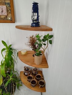 two wooden shelves with plants on them in a corner next to a potted plant