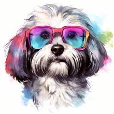 a dog with glasses on it's face and watercolor paint splats