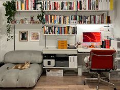 a cat is laying on a chair in front of a desk with bookshelves