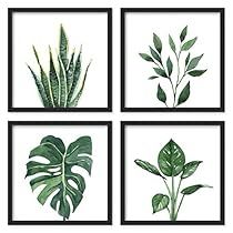 four framed pictures with different types of plants