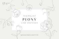 the minimalist peony line sketches are perfect for any type of artwork or project