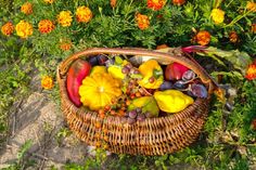 a basket filled with lots of different types of fruit and veggies in it