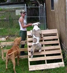 a woman standing next to a dog on top of a wooden pallet