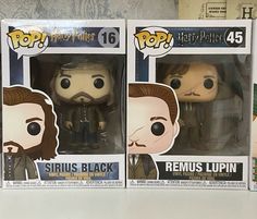 two harry potter pop vinyl figures are on display