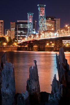 the city skyline is lit up at night as seen from across the water with rocks in front of it