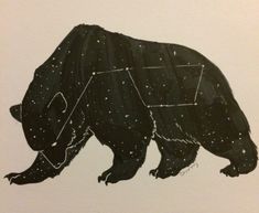 a drawing of a bear with stars on it's back and the outline of its body