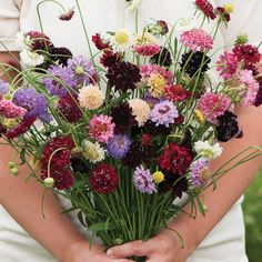 a person holding a bunch of flowers in their hands