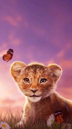 Mufasa Lion King, Ratatouille Disney, Lion Images, Lion Guard, Disney Lion King, Captain Marvel, Lion King, Dreamworks, Movies Showing