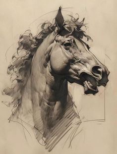 a black and white drawing of a horse's head with hair blowing in the wind