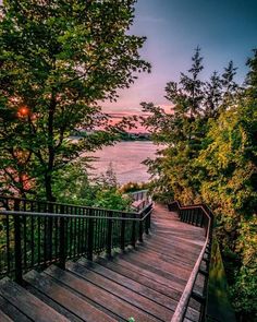 stairs leading to the water at sunset with trees in the foreground and pink sky above