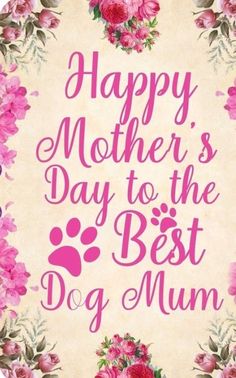 happy mother's day to the best dog mum with pink flowers and roses around it