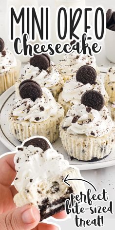 mini oreo cheesecakes with white frosting and oreos on top are being held