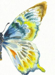 an image of a butterfly painted in watercolors on the app store's website