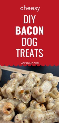 homemade bacon dog treats on a tray with text overlay that reads diy bacon dog treats