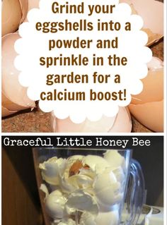 an egg is in a blender and the words, grow your eggshells into a powdered and sprinkle in the garden for a calcium booster