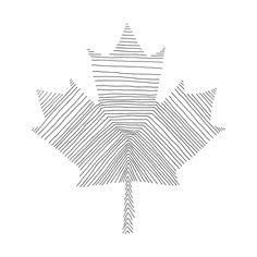 a drawing of a maple leaf with lines in the shape of it's leaves