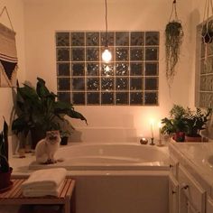 a cat sitting on the edge of a bathtub in a bathroom with plants and candles