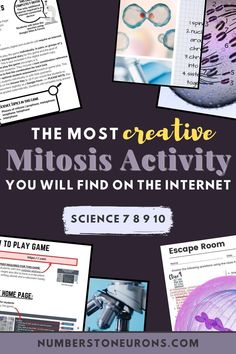 the most creative mimosi activity you will find on the internet science 8 - 10