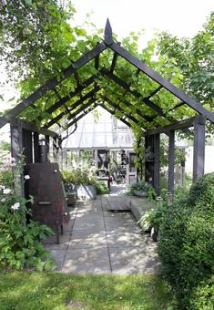 an outdoor garden with lots of green plants