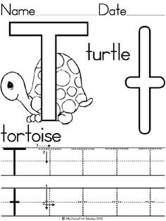 the letter t is for turtle worksheet