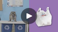 a dog standing on top of a table next to two trash cans and a bag