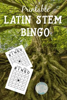 Latin Vocabulary Games, Latin Games, Latin Language Learning, Latin Classroom, Learning Latin, Classical Homeschooling, Learn Latin, Printable Bingo Cards, Teaching Latin