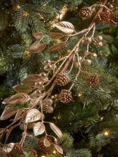 a close up of a christmas tree with pine cones and gold ornaments on it's branches