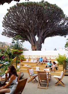 people sitting at wooden tables under a large tree in the middle of an outdoor area