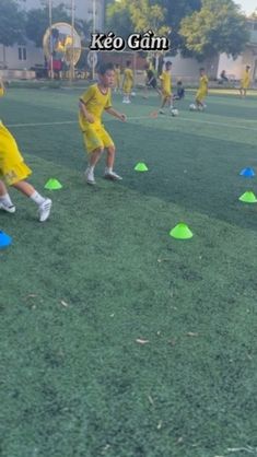 several children are playing with frisbees on the field