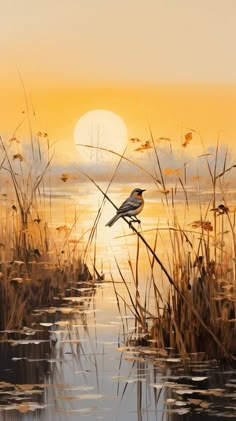 a painting of a bird sitting on top of a branch in the water at sunset