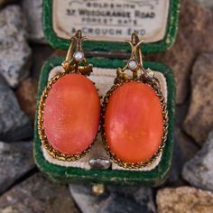 These vintage coral earrings feature a claw prong design with a twisted rope border. Each earring is set with one (1) oval, coral cabochon, weighing an estimated 8.42 carats. Each coral is topped with a bezel set seed pearl accent. The earrings measure 27.9mm long by 14.1mm wide and are finished with lever backs and hooks for pierced ears. These earrings have had a light hand polish since these photos were taken. The gold is still patinated but it appears slightly brighter in person. Please also Antique Oval Gemstone Earrings, Formal Coral Jewelry With Cabochon Details, Formal Coral Jewelry With Cabochon, Elegant Coral Oval Jewelry, Elegant Oval Coral Jewelry, Vintage Coral Oval Jewelry, Vintage Oval Coral Jewelry, Formal Coral Jewelry With Matching Earrings, Formal Coral Oval Jewelry