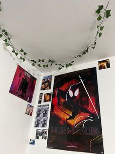 a spiderman movie poster hanging on the wall next to some photos and ivys