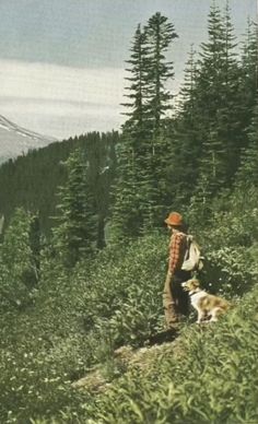 a man and his dog on the side of a hill with trees in the background