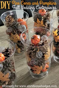 there are many pine cones and pumpkins in these cups for fall wedding centerpieces