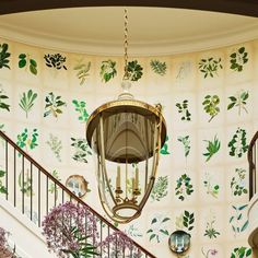 a chandelier hanging from the ceiling in front of a wall with plants on it