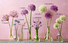 the flowers are arranged in vases with labels on them for each type of flower