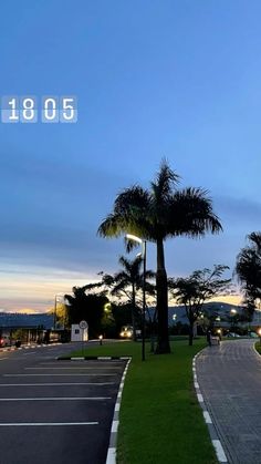 a palm tree in the middle of a parking lot at dusk with lights shining on it