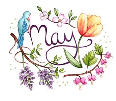 the word may is surrounded by flowers and birds